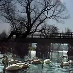 Kartal Centar Apartment *