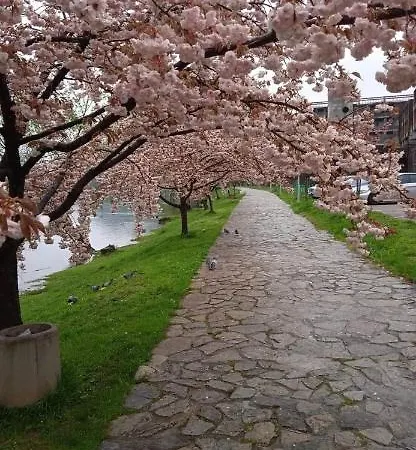 Kartal Centar Apartament *