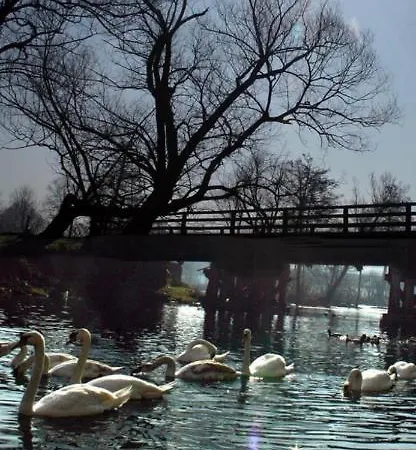 Kartal Centar Apartmán *