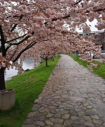 Kartal Centar Apartamento *